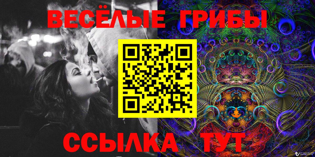 Псилоцибиновые грибы мицелий Ангарск