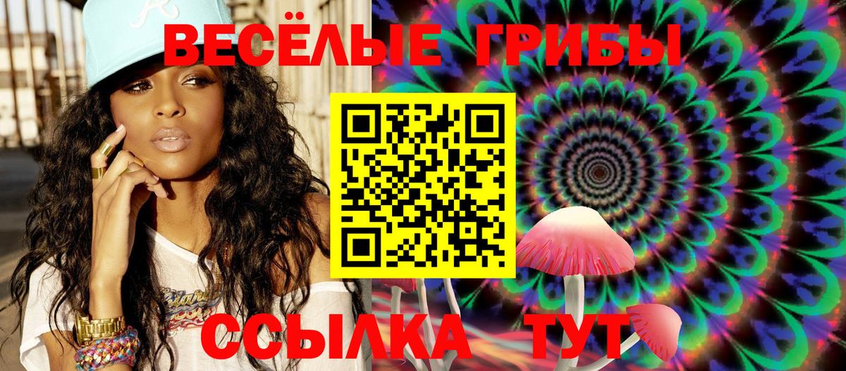 Псилоцибиновые грибы Psilocybine cubensis  Вход с VPN  Ангарск 